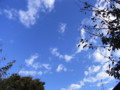 [空]