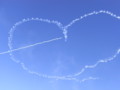 [飛行機]