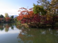 [公園][札幌][紅葉]