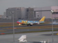 [飛行機]