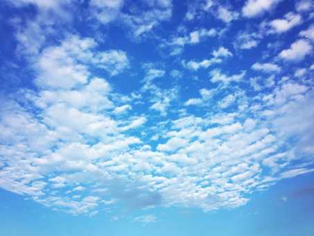f:id:jincatca:20181128131754j:plain