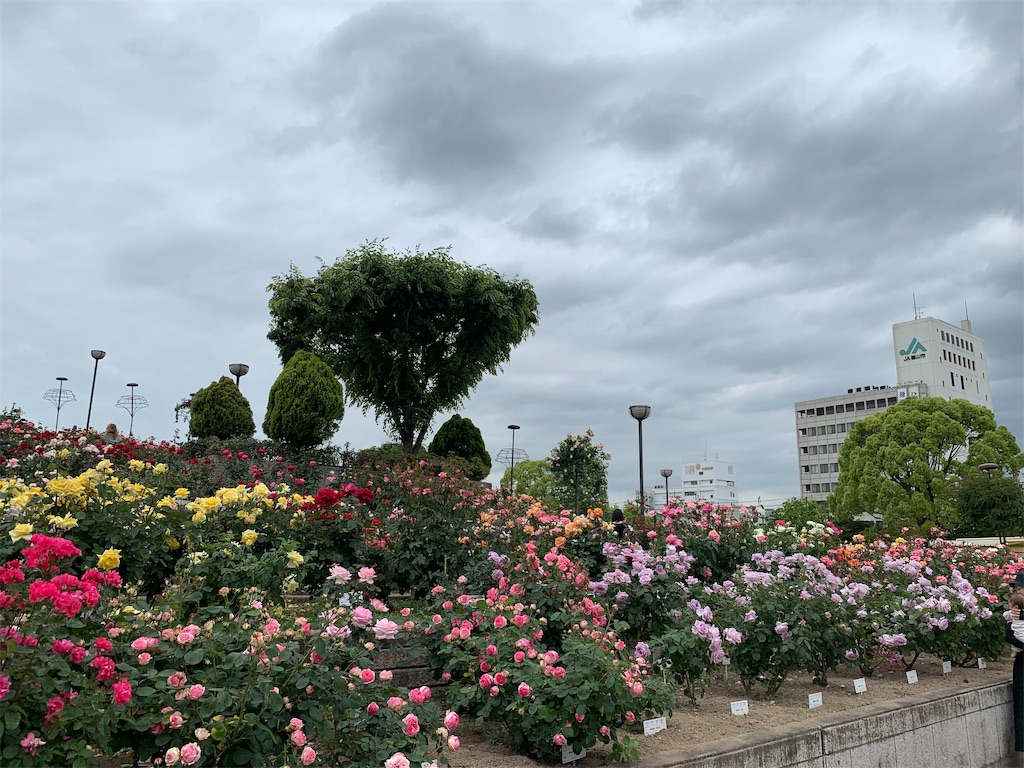 f:id:jinjinchang:20190519230236j:image
