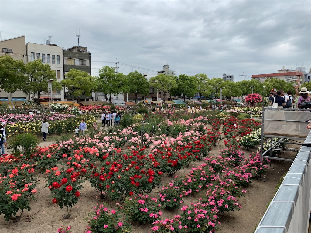 f:id:jinjinchang:20190519230510j:image