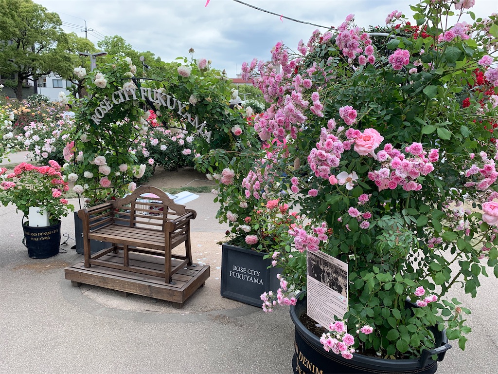 f:id:jinjinchang:20190519230606j:image