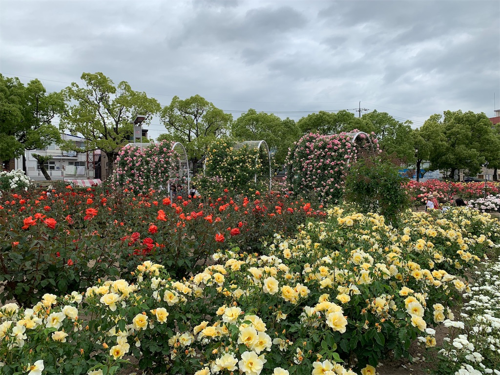 f:id:jinjinchang:20190519230617j:image