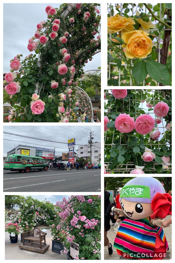 f:id:jinjinchang:20190519230705j:image