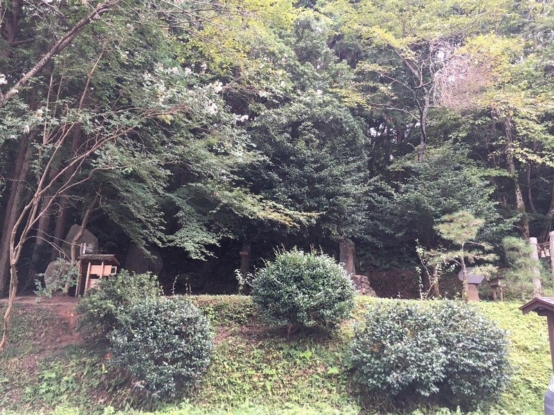 イメージ 5