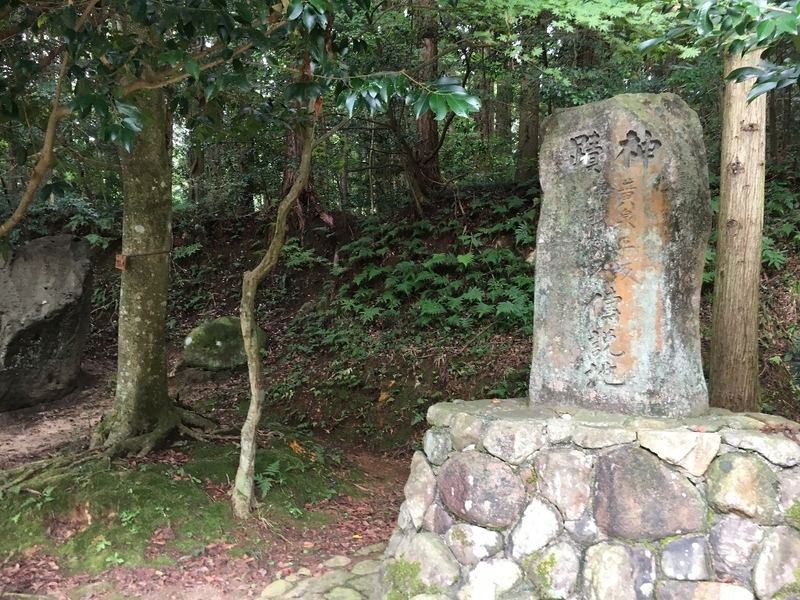 イメージ 8
