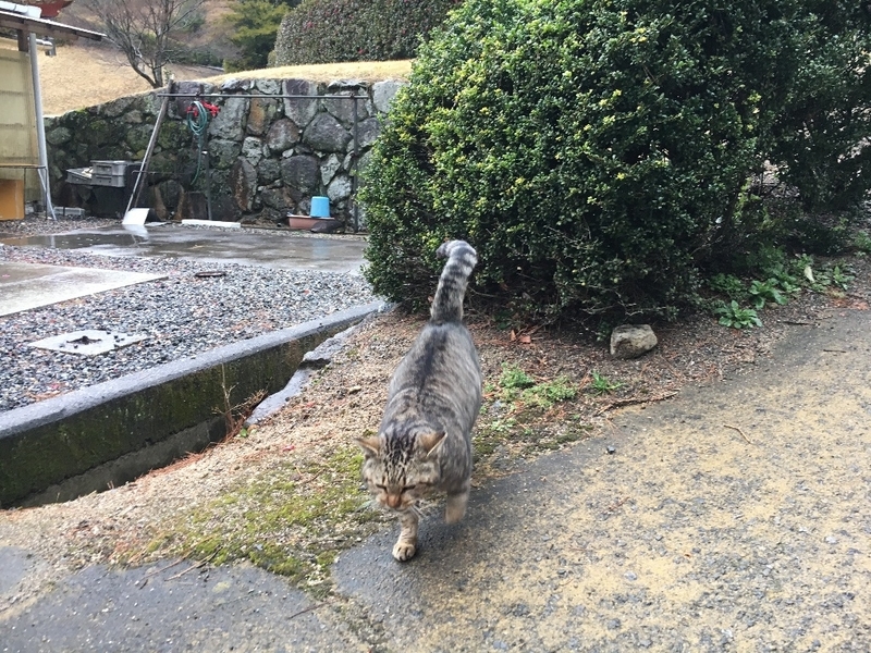 イメージ 4