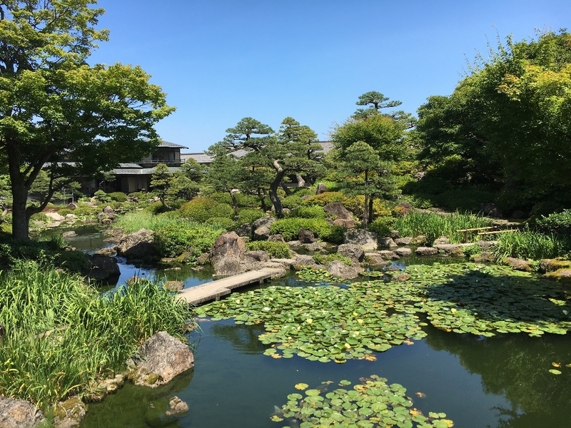 イメージ 13