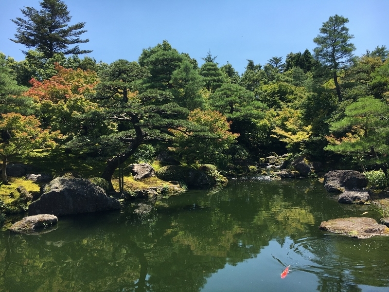 イメージ 14