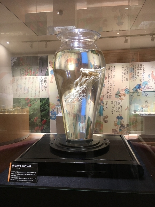 イメージ 17