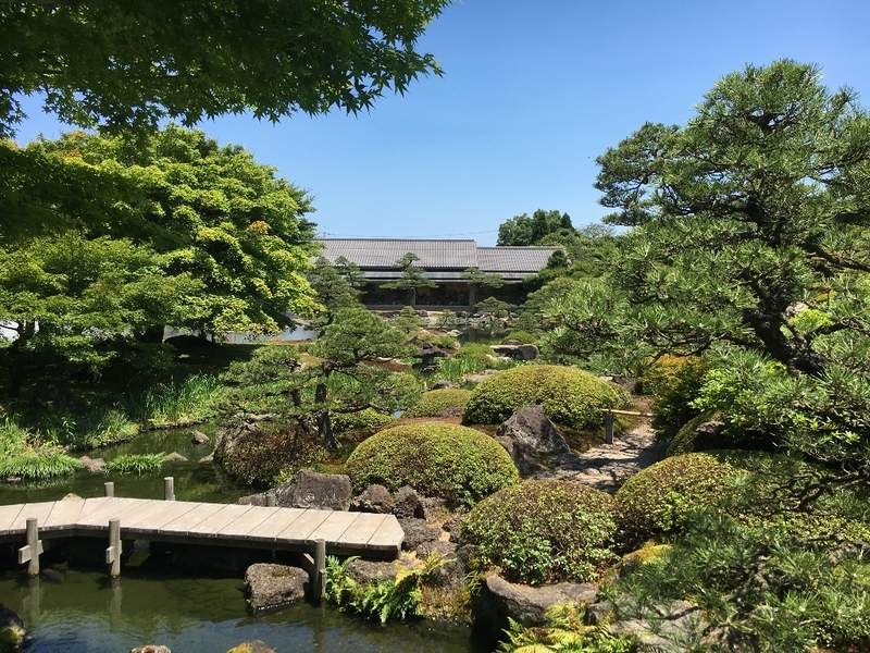イメージ 6