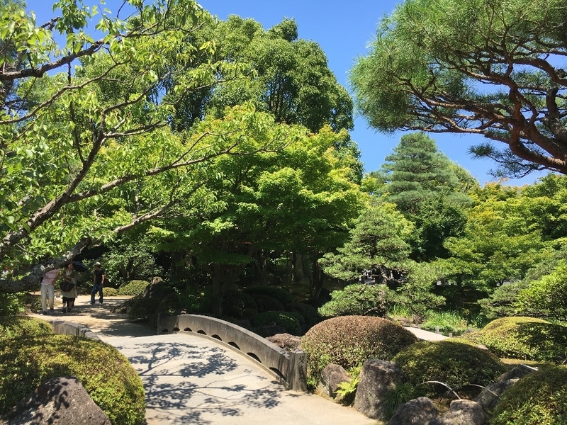 イメージ 8