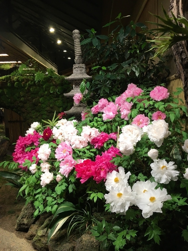 イメージ 9