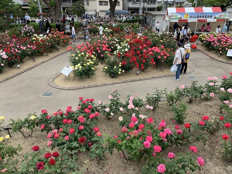 イメージ 10