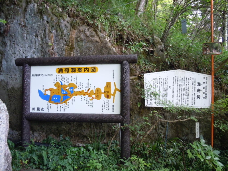 イメージ 5