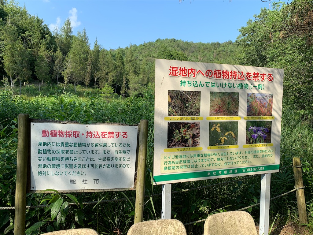 f:id:jinjinchang:20190817202431j:image