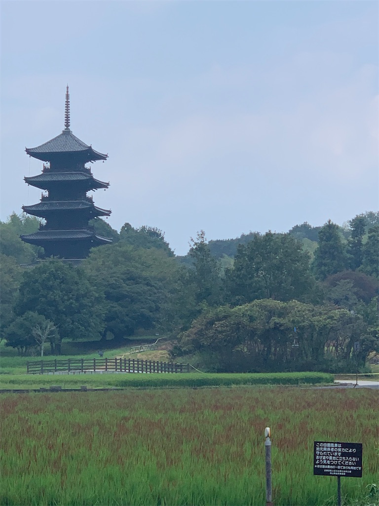 f:id:jinjinchang:20190913174617j:image