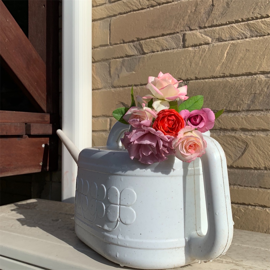 f:id:jinjinchang:20190913174841j:image