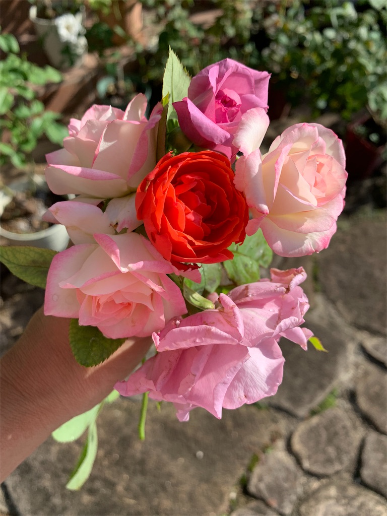 f:id:jinjinchang:20190913174845j:image
