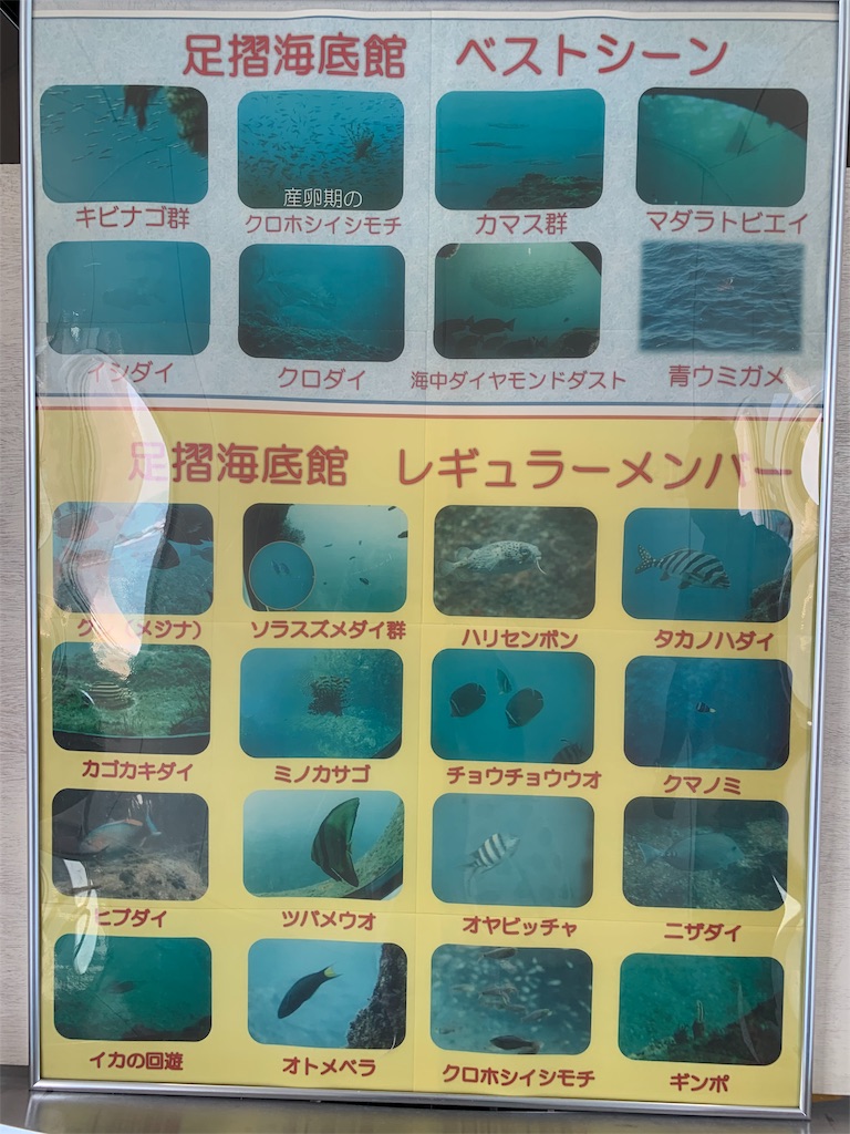 f:id:jinjinchang:20191004204627j:image