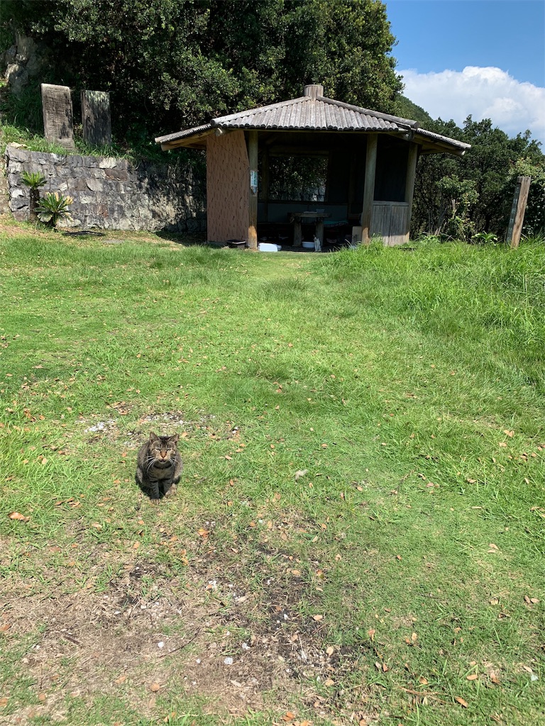 f:id:jinjinchang:20191006203218j:image