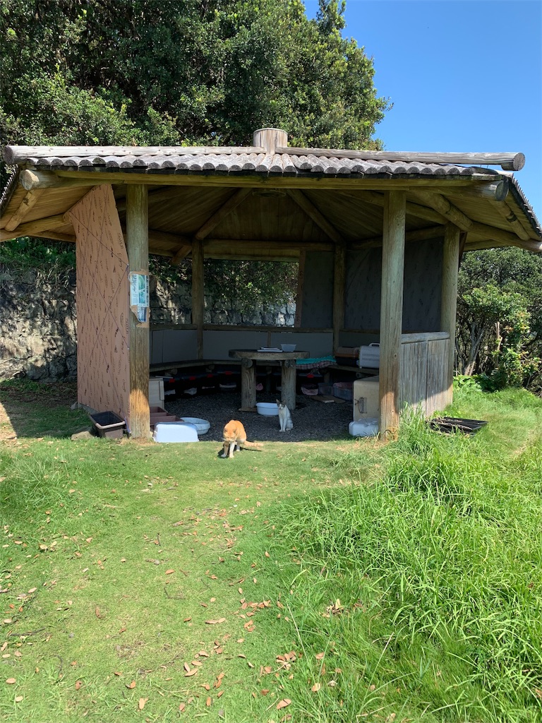 f:id:jinjinchang:20191006203224j:image