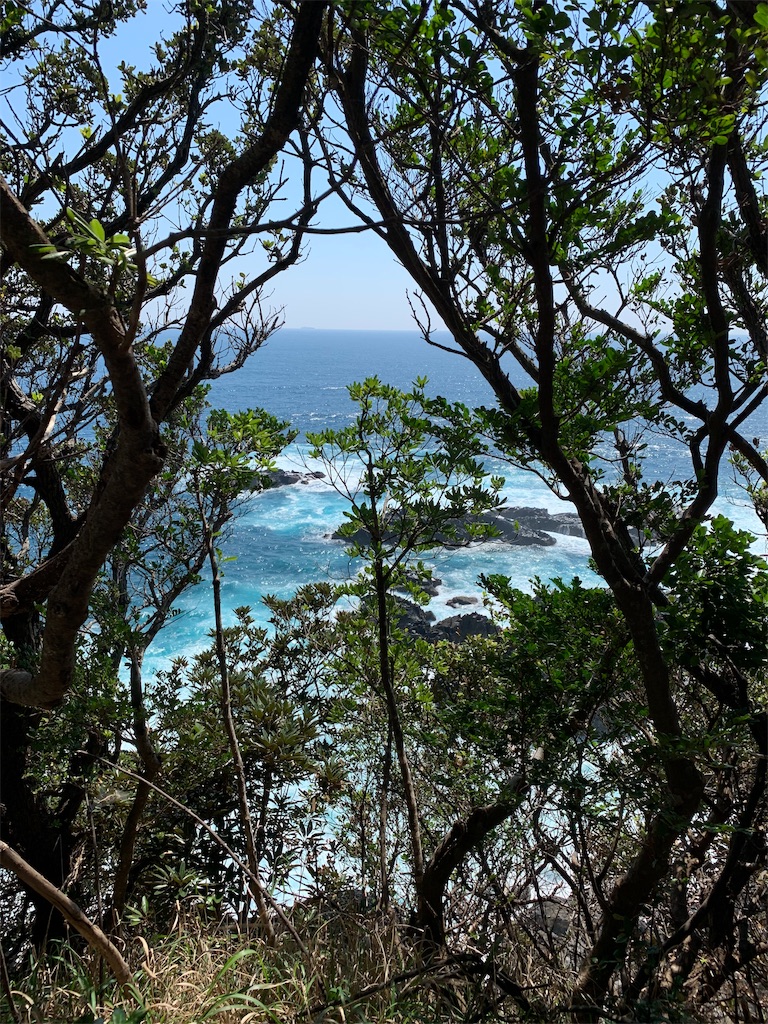 f:id:jinjinchang:20191006203500j:image