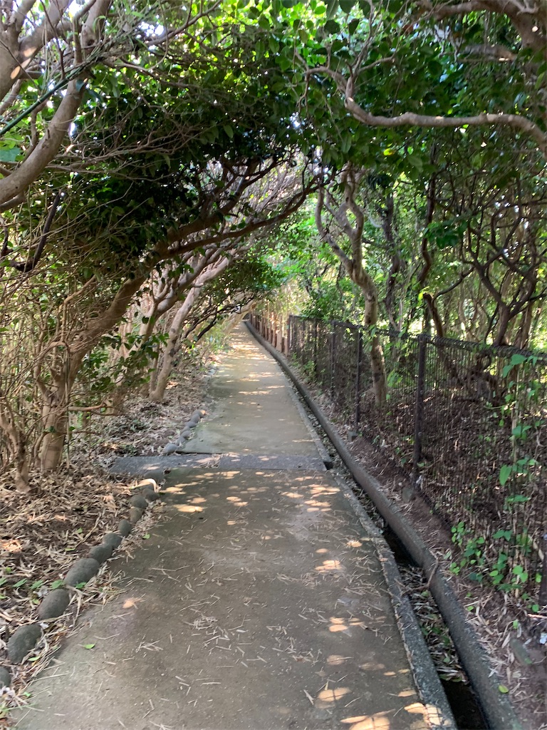 f:id:jinjinchang:20191008190636j:image f:id:jinjinchang:20191008190636j:image