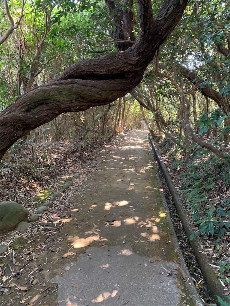 f:id:jinjinchang:20191008190651j:image f:id:jinjinchang:20191008190651j:image