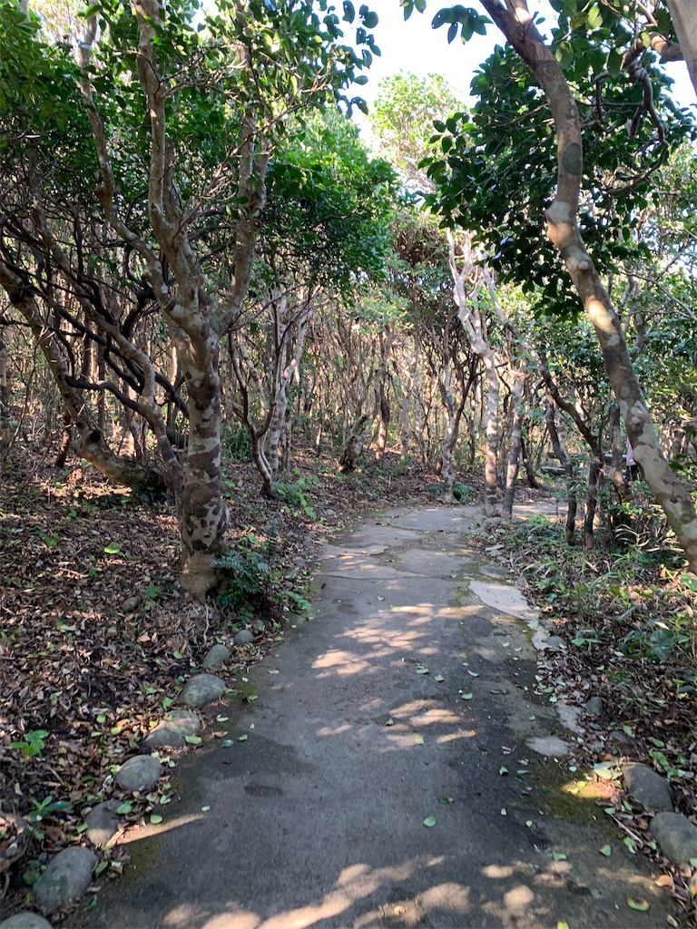 f:id:jinjinchang:20191008191947j:image f:id:jinjinchang:20191008191947j:image