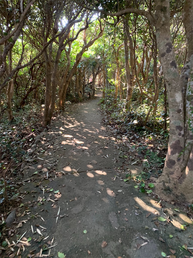 f:id:jinjinchang:20191008192342j:image f:id:jinjinchang:20191008192342j:image