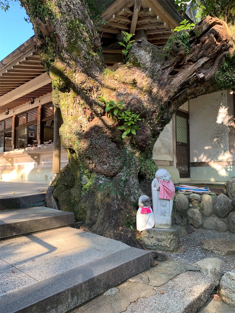 f:id:jinjinchang:20191009192503j:image