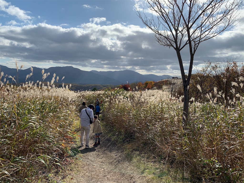 f:id:jinjinchang:20191114183345j:image