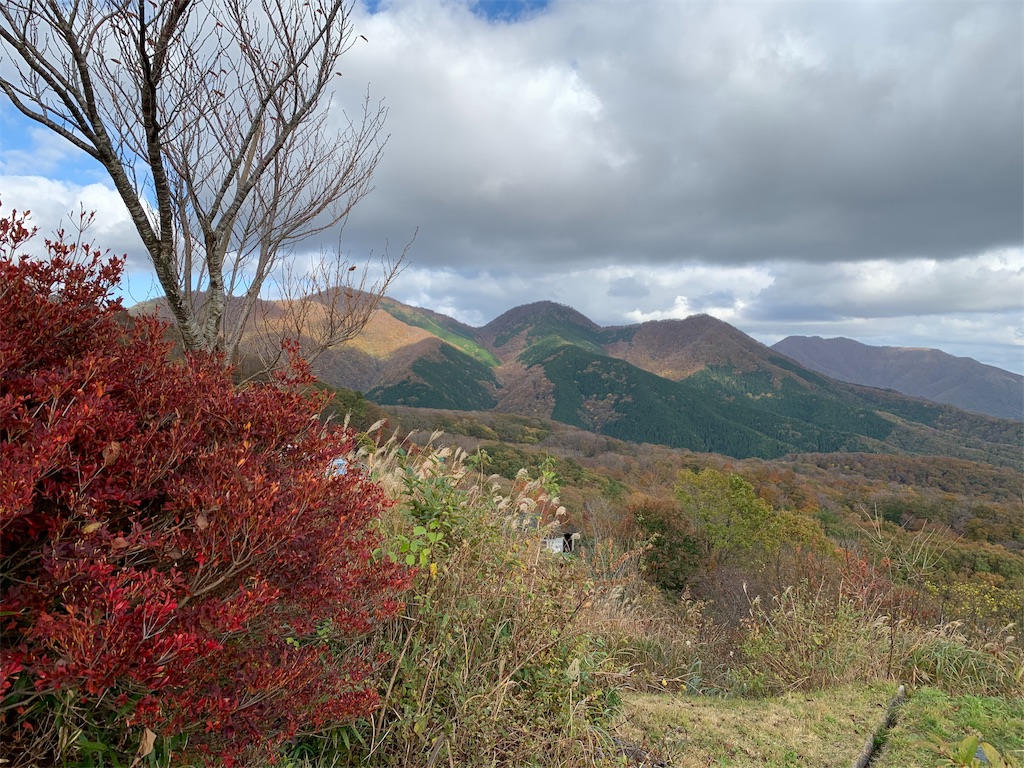 f:id:jinjinchang:20191114185252j:image