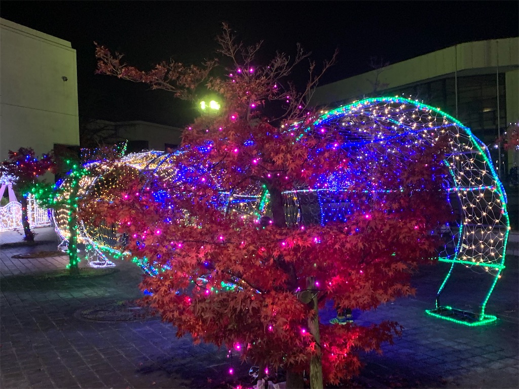 f:id:jinjinchang:20191208214845j:image