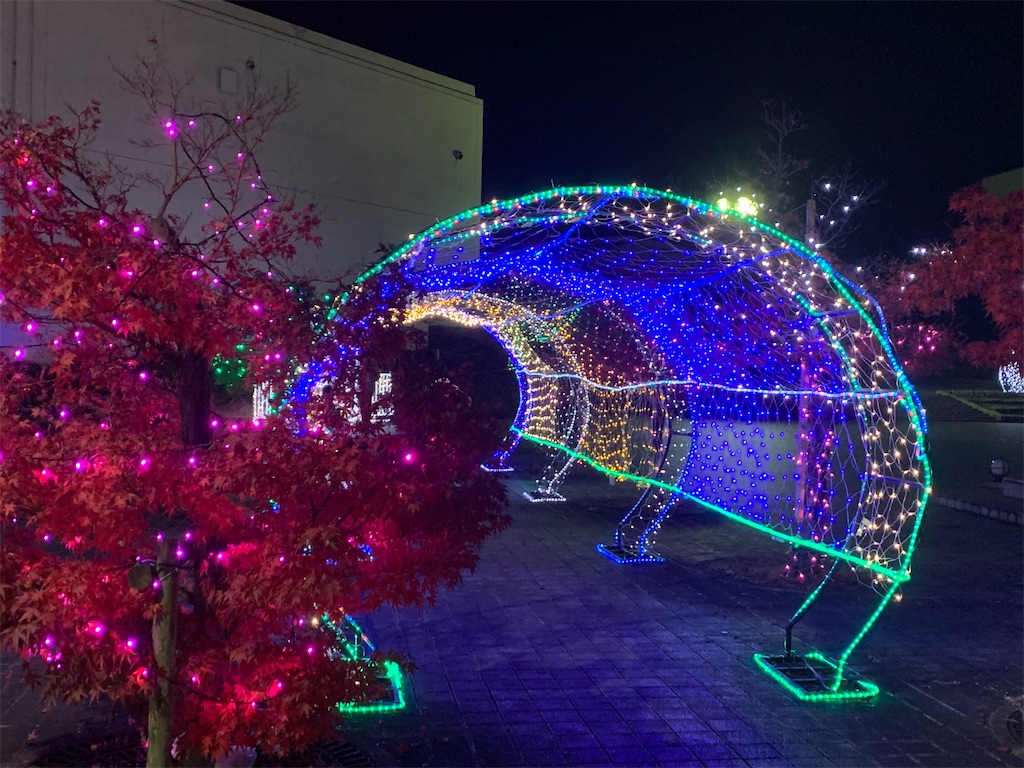 f:id:jinjinchang:20191208214901j:image