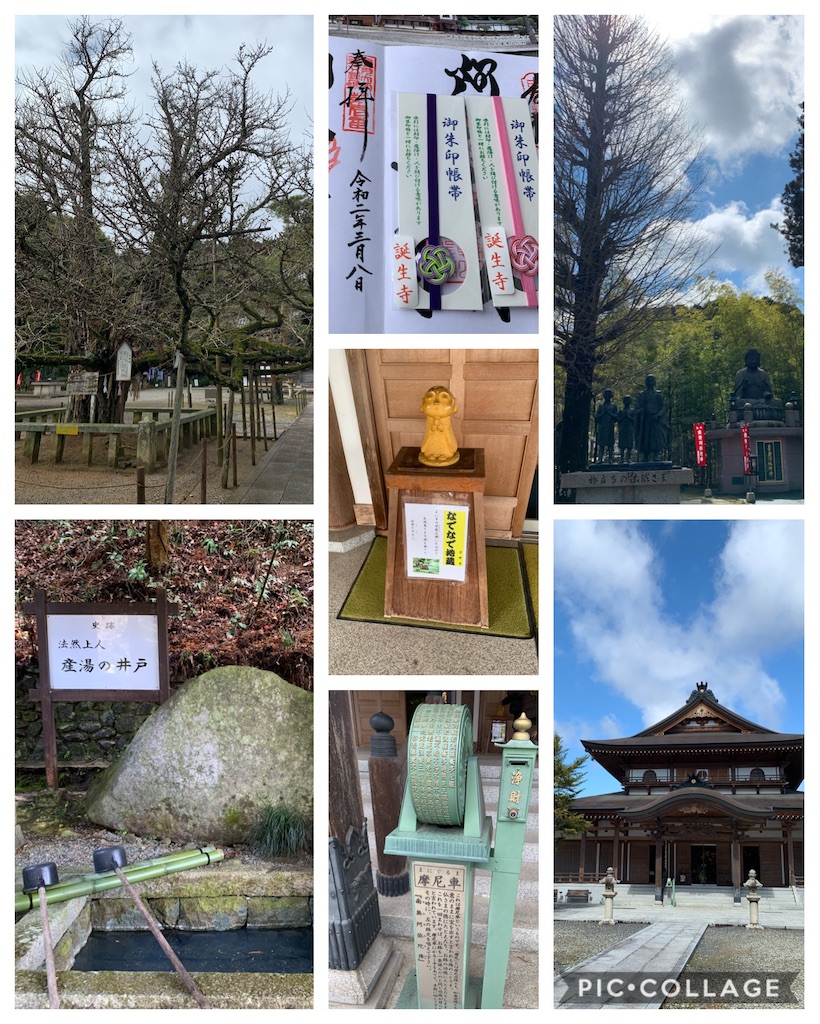 f:id:jinjinchang:20200309194514j:image