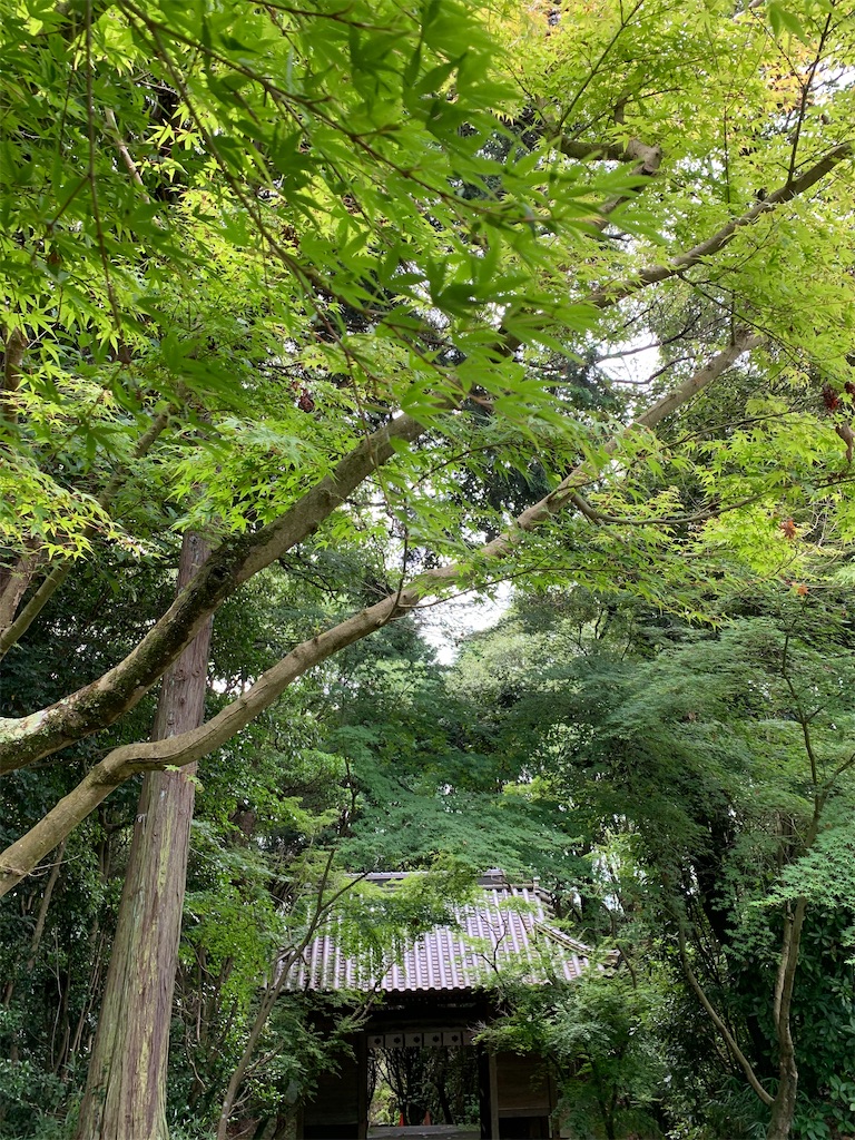 f:id:jinjinchang:20200629214854j:image