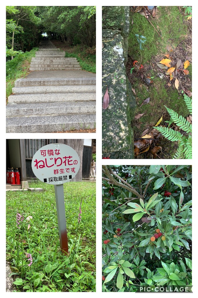 f:id:jinjinchang:20200629215347j:image