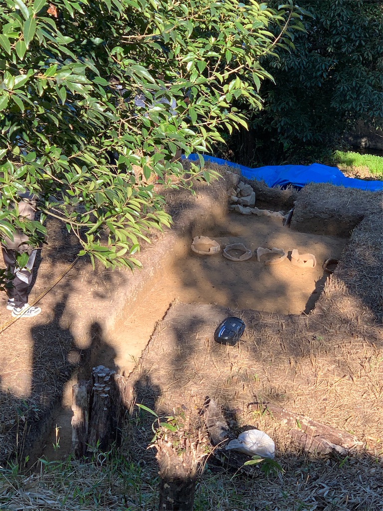 f:id:jinjinchang:20201129193409j:image f:id:jinjinchang:20201129193409j:image