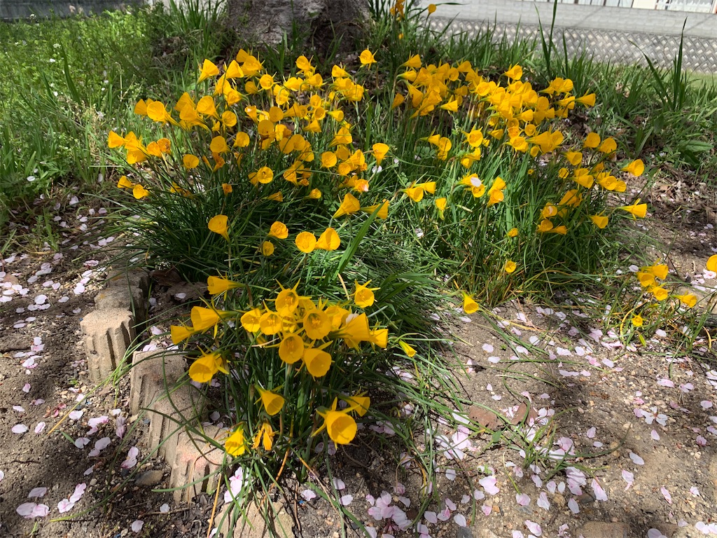 f:id:jinjinchang:20210331201924j:image