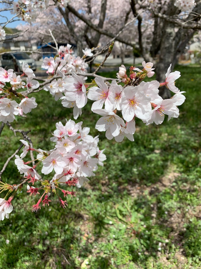 f:id:jinjinchang:20210331201937j:image