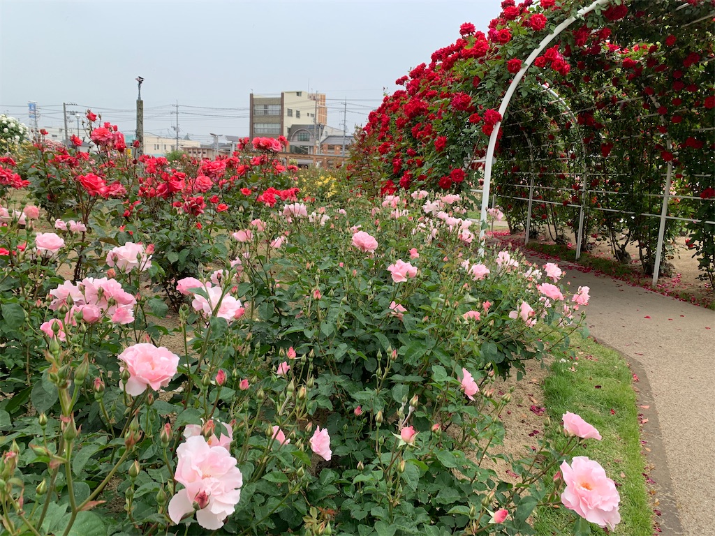 f:id:jinjinchang:20210521201142j:image