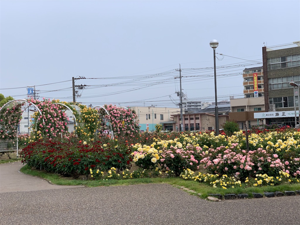 f:id:jinjinchang:20210521201202j:image