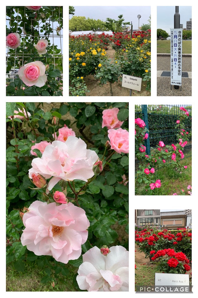 f:id:jinjinchang:20210521201741j:image
