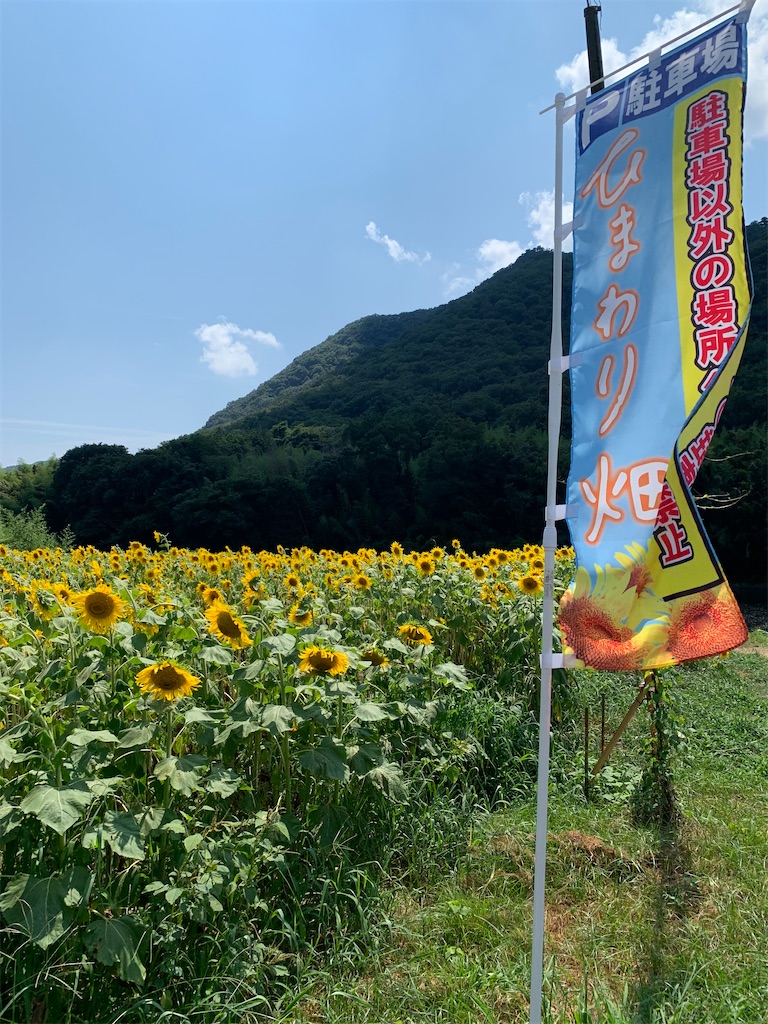 f:id:jinjinchang:20210801185159j:image f:id:jinjinchang:20210801185159j:image