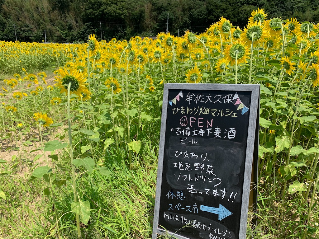 f:id:jinjinchang:20210801193204j:image f:id:jinjinchang:20210801193204j:image
