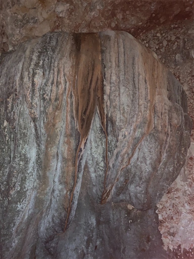 f:id:jinjinchang:20221023215959j:image